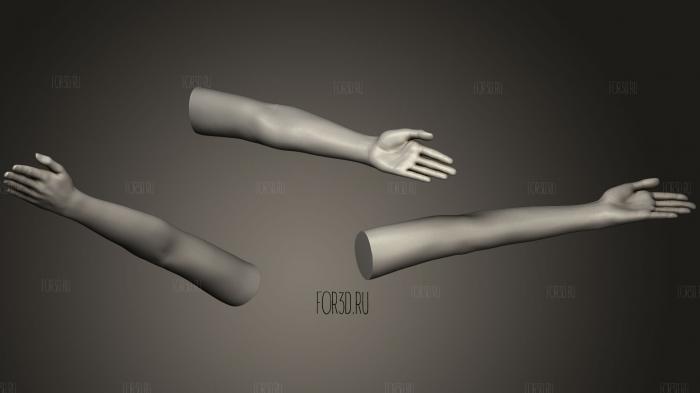 Female Arm Pose 15 stl model for CNC